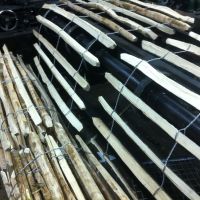 plot leszczynowy produkcja